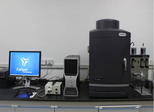 Caliper活体动物体内可见光成像系统型号:IVIS Kinetic