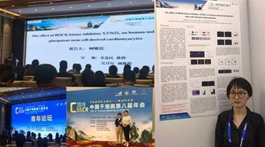 我院吴月红副教授一行参加中国第八届干细胞年会