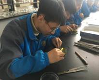 【生科生涯体验课】安吉昌硕高级中学学子来我院参观实验室