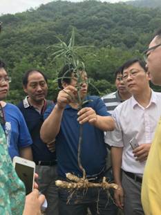院长梁宗锁前往陕西略阳开展科技指导
